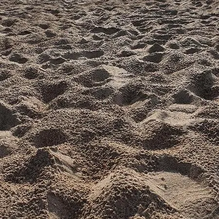 Apartament Sea View Slavia *