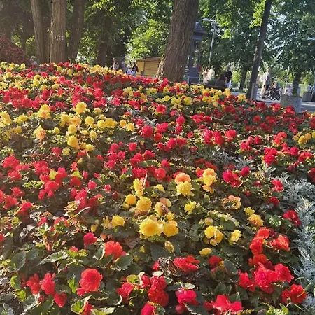 Sea View Slavia Międzyzdroje