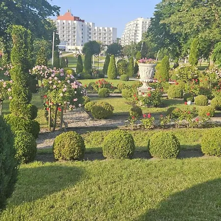 Sea View Slavia Apartament *