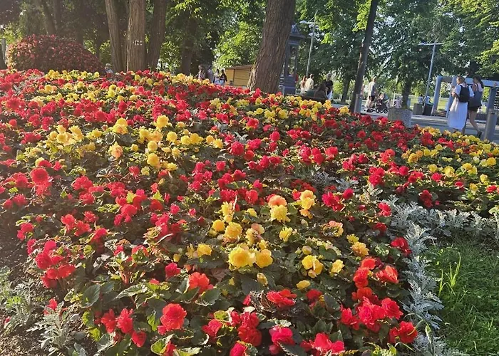 Sea View Slavia Miedzyzdroje